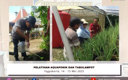 Pelatihan AQUAPONIK dan TABULAMPOT